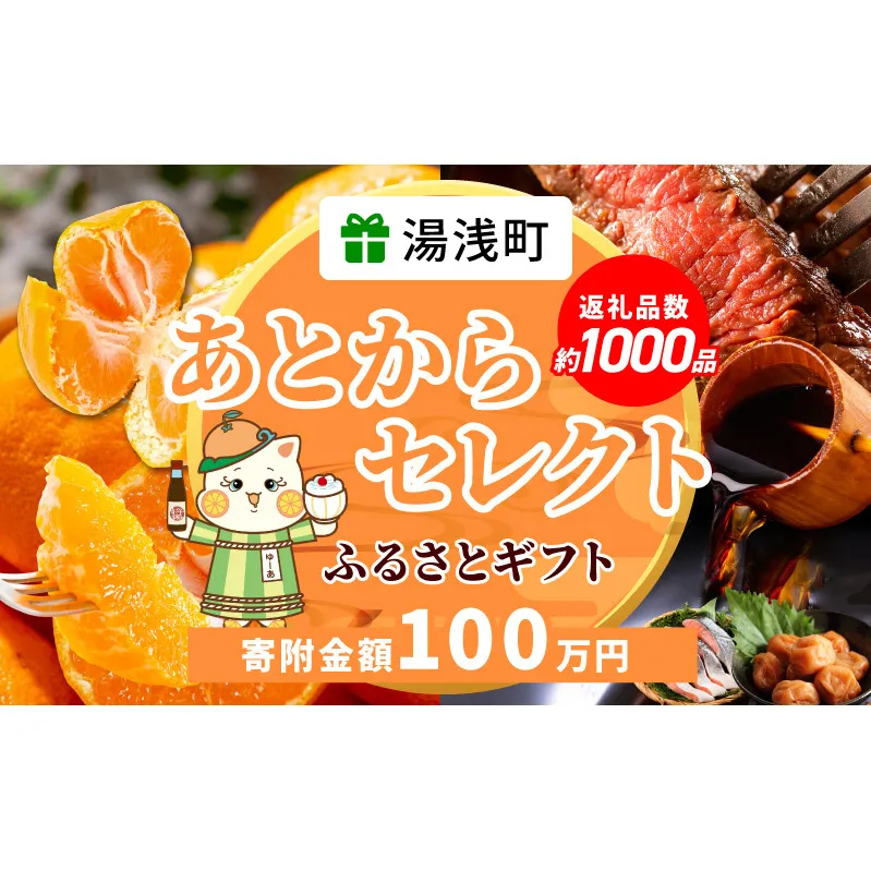 ZZ1023_あとからセレクト【ふるさとギフト】100万円