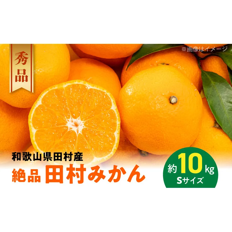 AB7432_《2025年11月～発送》【和歌山特産品】【プレミアムブランド】絶品 田村みかん 秀品 Sサイズ 約10kg