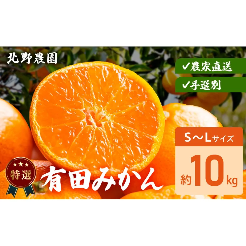 DZ6231_特選 有田みかん 和歌山 S～Lサイズ 大きさお任せ 約10kg