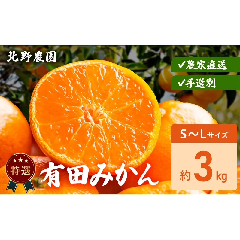 DZ6233_特選 有田みかん 和歌山 S～Lサイズ 大きさお任せ 約3kg