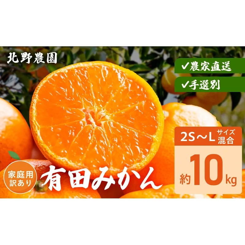 DZ6235_家庭用 訳あり 有田みかん 和歌山 2S～Lサイズ混合 約10kg