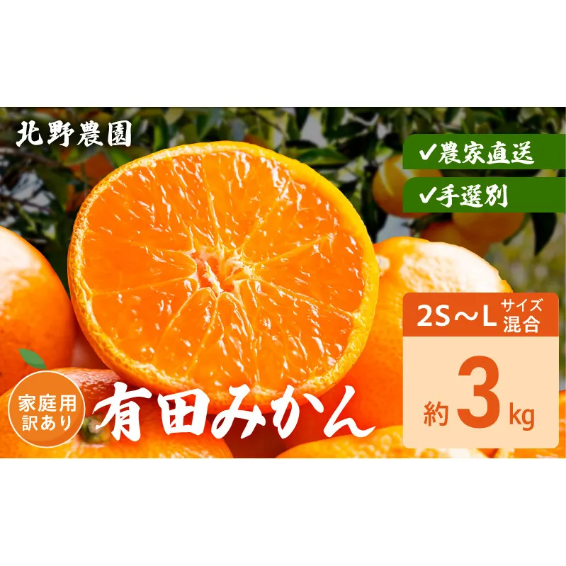 DZ6237_家庭用 訳あり 有田みかん 和歌山 2S～Lサイズ混合 約3kg