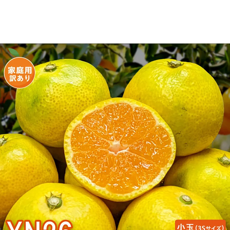 DZ6240_【2026年先行受付】家庭用 YN26 ゆら早生 有田みかん 和歌山 訳あり わけあり 小玉(3Sサイズ) 約2kg