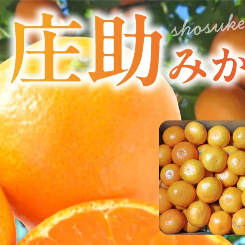 BK6011_【2026年先行予約】庄助みかん (家庭用・サイズ混合) 約4kg
