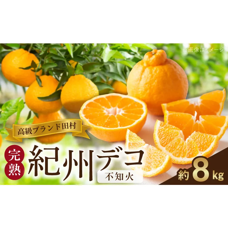 G7372_高級ブランド 田村の 完熟紀州デコ (不知火) 約8kg