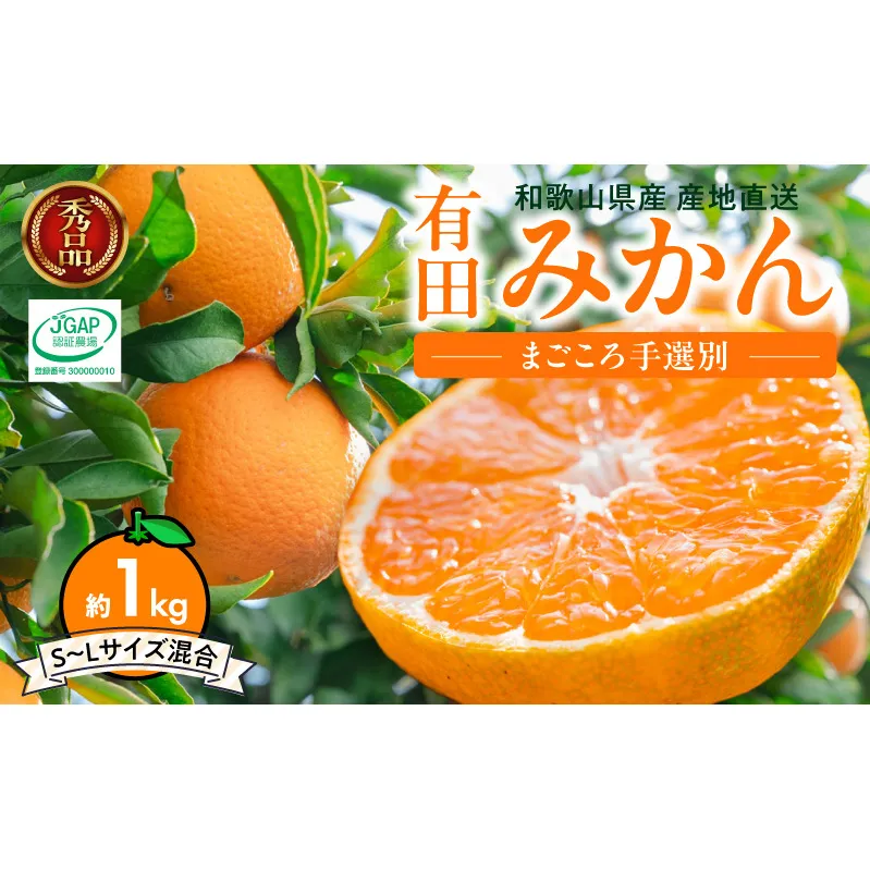 ZE6482_【2026年先行予約】【秀品】和歌山県産　有田みかん 約1kg （S～Ｌサイズ混合）【まごころ手選別】