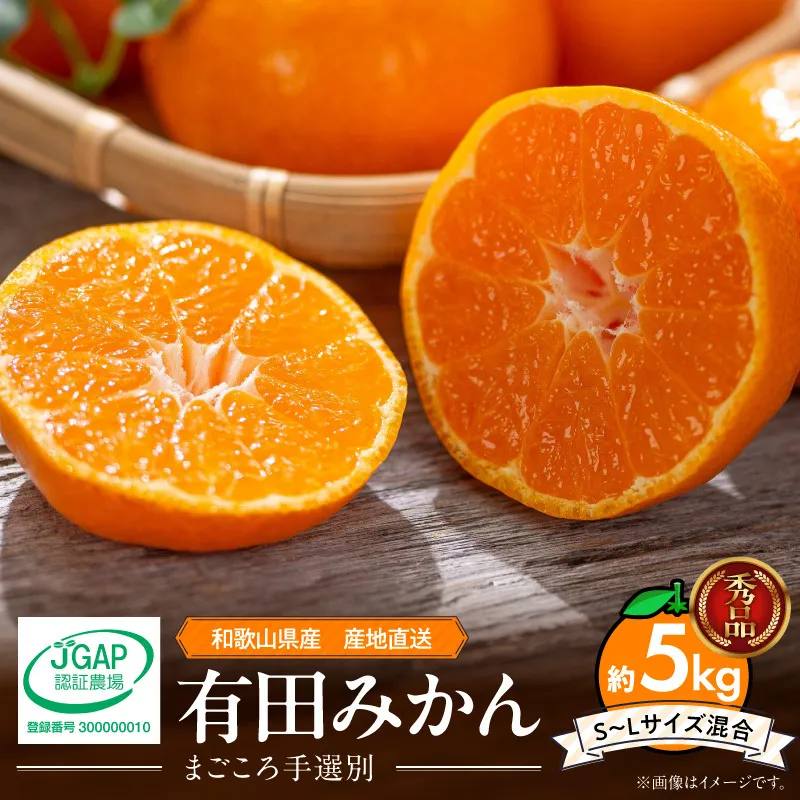 【2026年先行予約】【秀品】和歌山県産　有田みかん 約5kg （S～Ｌサイズ混合）【まごころ手選別】_ZE6484