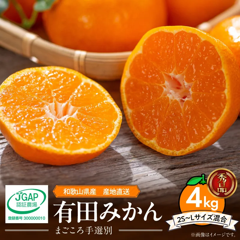 【2026年先行予約】【秀品】和歌山県産　有田みかん 約4kg (2S～Lサイズ混合)【まごころ手選別】_ZE6344n