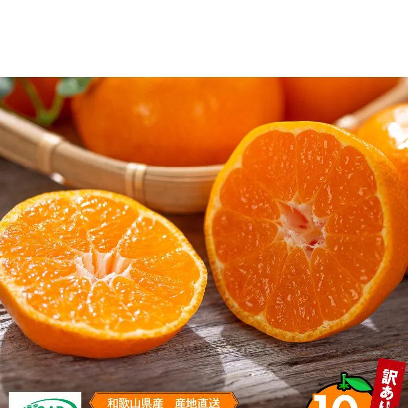 ZE6424_【2026年先行予約】【家庭用】 和歌山県産　有田みかん 約10kg (S～Lサイズ混合)【まごころ手選別】