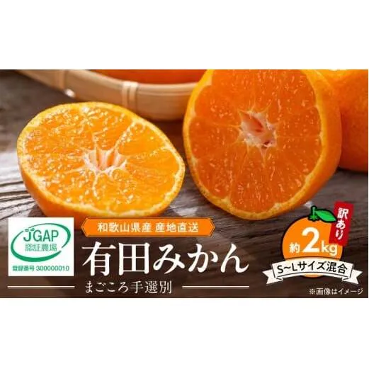 ZE6517_【2026年先行予約】【家庭用】和歌山県産　有田みかん 約2kg (S～Lサイズ混合)【まごころ手選別】