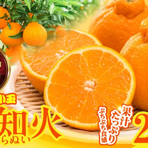 MK1018_不知火 (しらぬい) とにかく小玉 箱込 2.5kg (内容量約2.3kg) 秀品 優品 混合