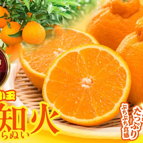 MK1017_不知火 (しらぬい) とにかく小玉 箱込 5kg (内容量約4.4kg) 秀品 優品 混合