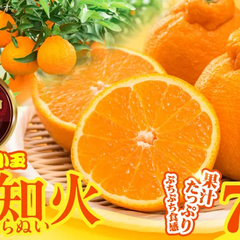 MK1016_不知火 (しらぬい) とにかく小玉 箱込 7.5kg (内容量約6.8kg) 秀品 優品 混合