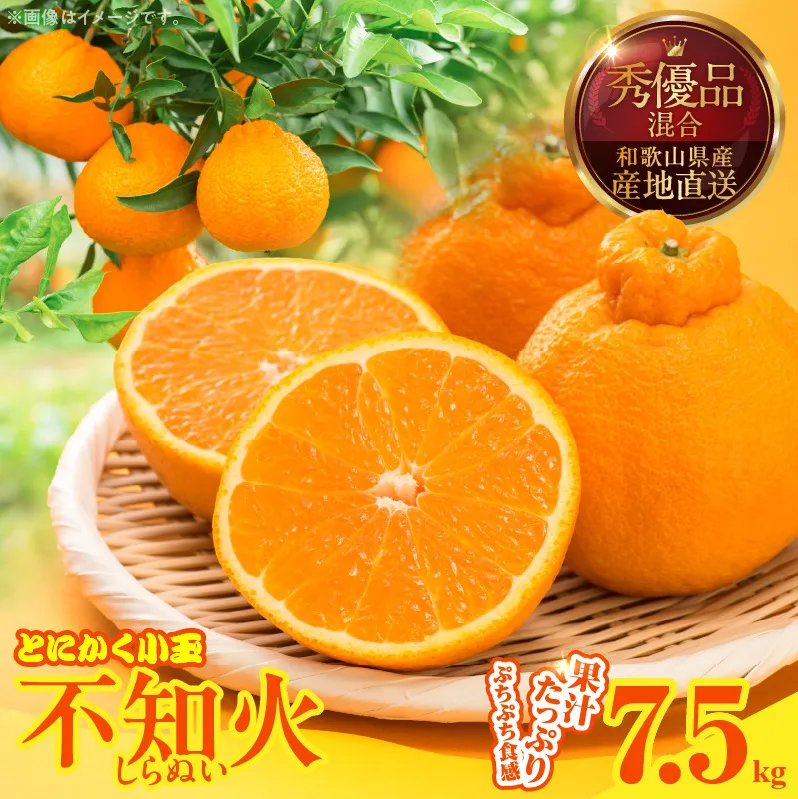MK1016_不知火 (しらぬい) とにかく小玉 箱込 7.5kg (内容量約6.8kg) 秀品 優品 混合