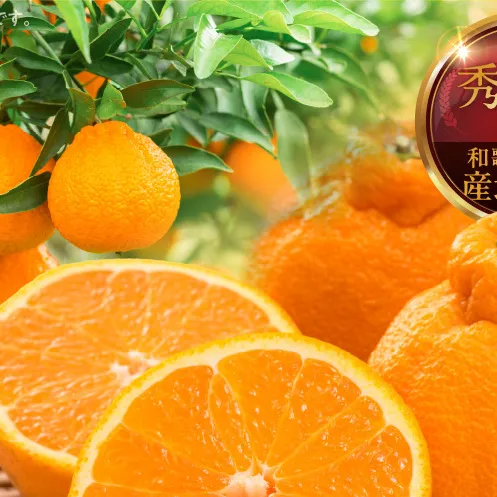 MK1011_不知火 (しらぬい) とにかく大玉 どっこいしょ 箱込 5kg (内容量約4.4kg) 秀品 優品 混合