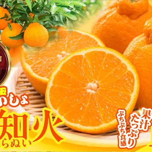 MK1012_不知火 (しらぬい) とにかく大玉 どっこいしょ 箱込 10kg (内容量約 9.2kg) 秀品 優品 混合