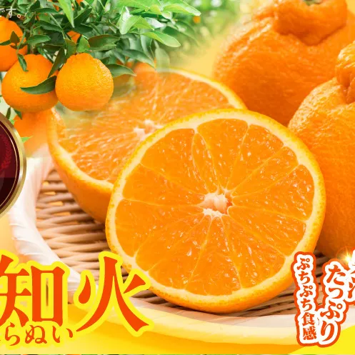 MK1013_不知火 (しらぬい) 秀品 玉ぞろい 箱込 5kg (内容量約4.4kg)