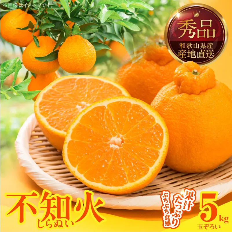 MK1013_不知火 (しらぬい) 秀品 玉ぞろい 箱込 5kg (内容量約4.4kg)