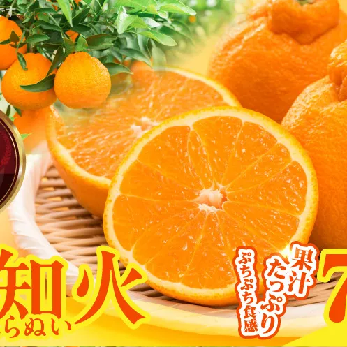 MK1009_不知火 (しらぬい) 秀品 玉ぞろい 箱込 7.5kg (内容量約6.8kg)