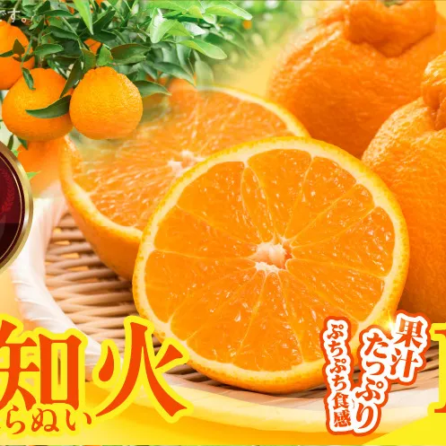 MK1010_不知火 (しらぬい) 秀品 玉ぞろい 箱込 10kg (内容量約9.2kg)