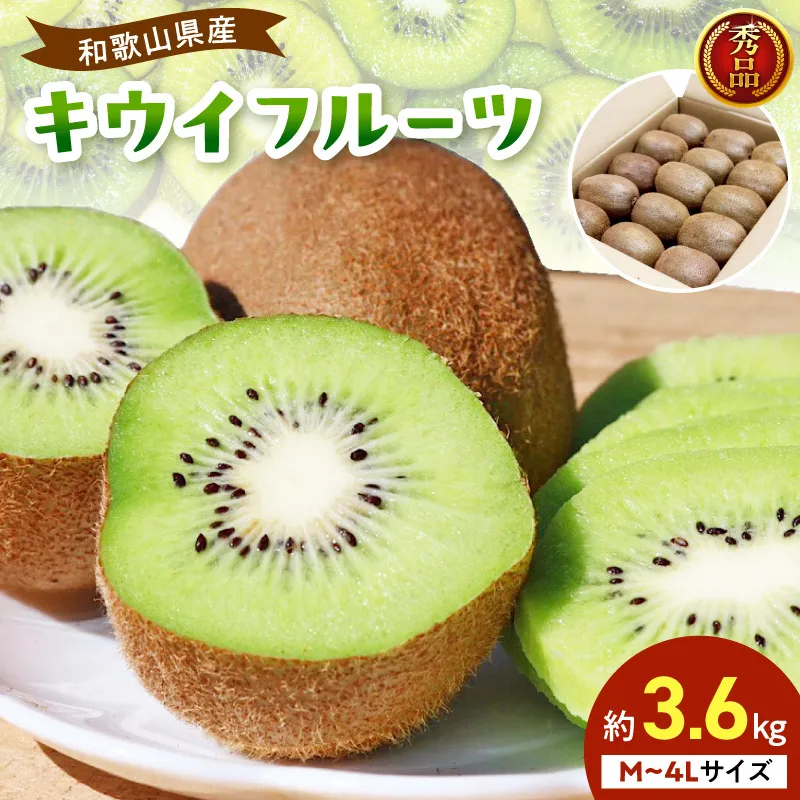 BL6174_【2027年1月下旬から順次発送】和歌山産　キウイフルーツ　M～4Lサイズ　約3.6kg　秀品