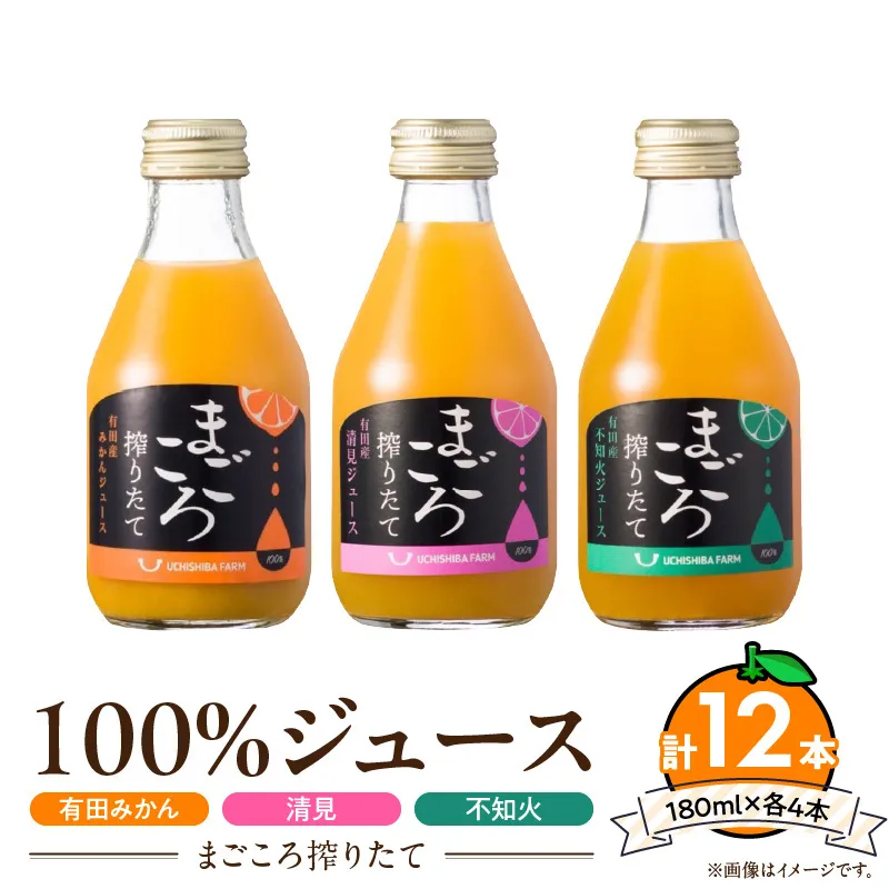 【まごころ搾りたて】100%ジュース《みかん・清見・不知火》180ml 各4本　計12本_ZE6439