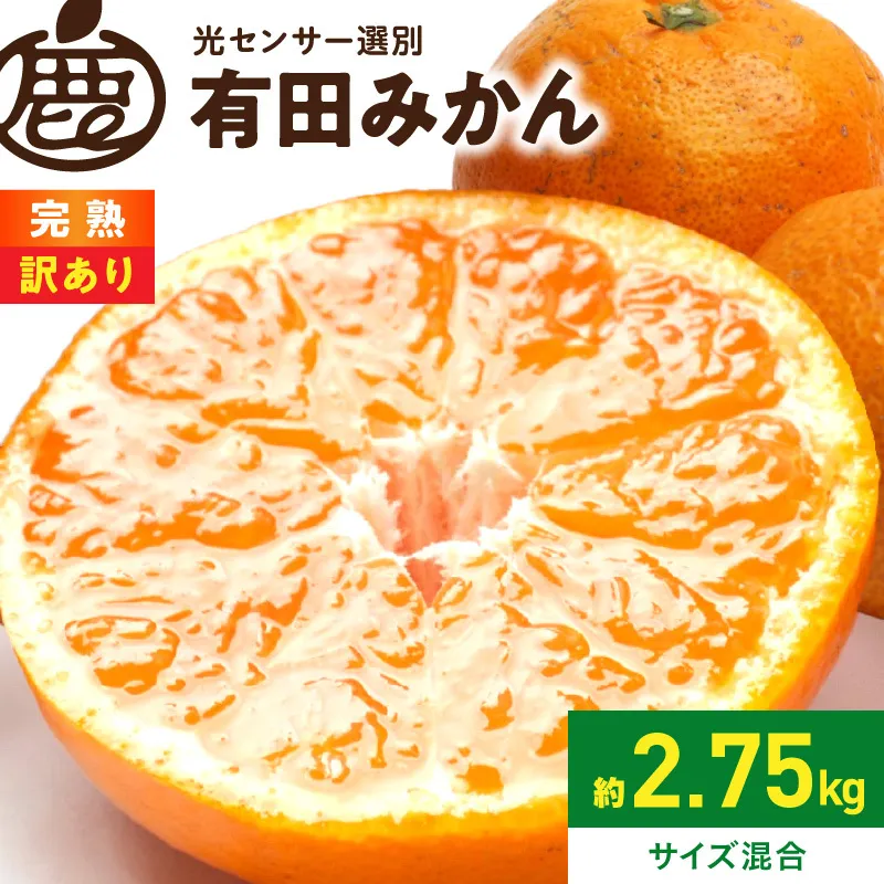 《2026年11月上旬～2027年1月下旬頃に順次発送》【2026年先行予約】家庭用 完熟有田みかん約2.5kg+250g（傷み補償分）【わけあり・訳あり】【光センサー選果】_ZH7127