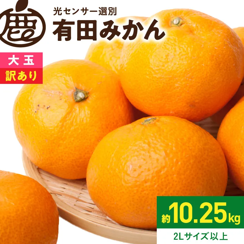 《2026年11月上旬～2027年1月下旬頃順次発送》【2026年先行予約】家庭用 大きな有田みかん約10kg+250g（傷み補償分）【わけあり・訳あり】【光センサー選果】_ZH7120