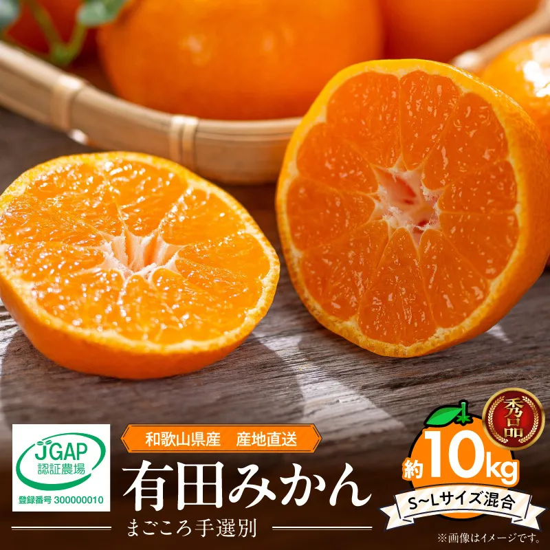 【2026年先行予約】【秀品】和歌山県産　有田みかん 約10kg （S～Ｌサイズ混合）【まごころ手選別】_ZE6519