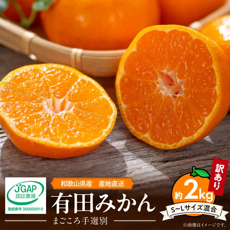 【家庭用】和歌山県産 有田みかん 約2kg (S~Lサイズ混合)【まごころ手選別】_ZE6517