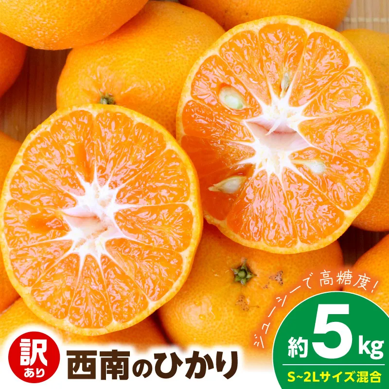 【2026年先行予約】《訳あり 家庭用》西南のひかり 約5kg（S～2Lサイズ混合）_EQ6008