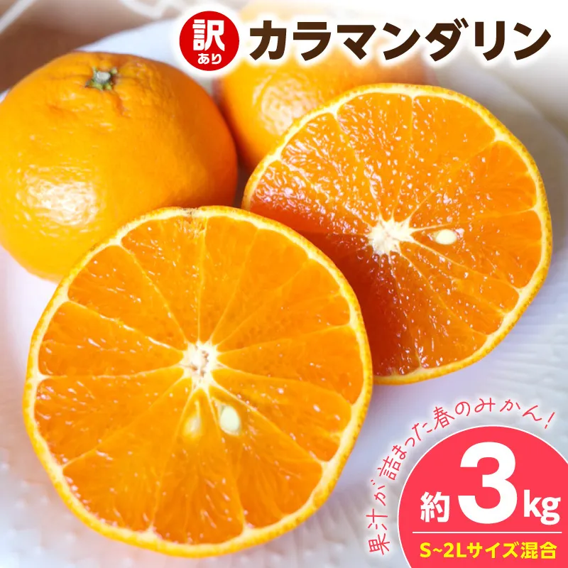 【2027年先行予約】《訳あり 家庭用》カラマンダリン 約3kg（S～2Lサイズ混合）_EQ6005