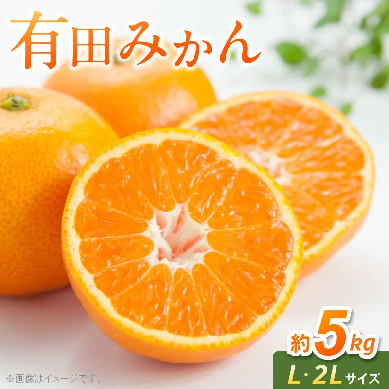 《2026年11月中旬～2027年1月中旬頃に順次発送予定》【2026年先行予約】有田みかん　L,2Lサイズ混合　約5kg_BF6070