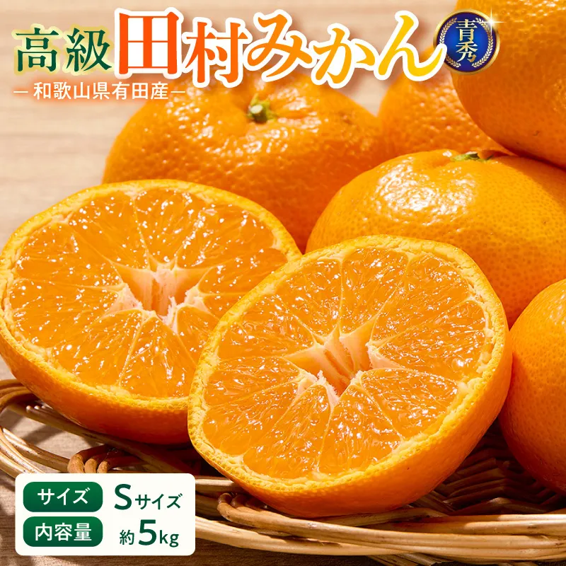 【2026年先行予約】「高級 田村みかん」 青秀 約5kg Sサイズ 和歌山県有田産 有田みかん_U6241n