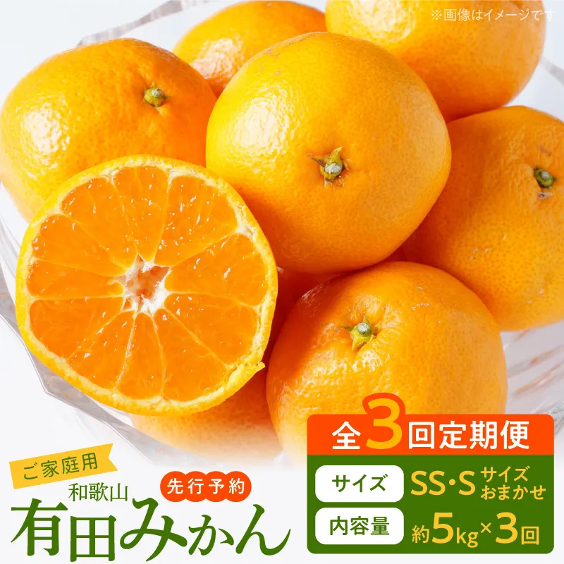 【3回定期便】【2026年先行予約】【ご家庭用】旨味凝縮有田みかん 約5kg（SS・Sサイズ）【湯浅町】_AT60-T01
