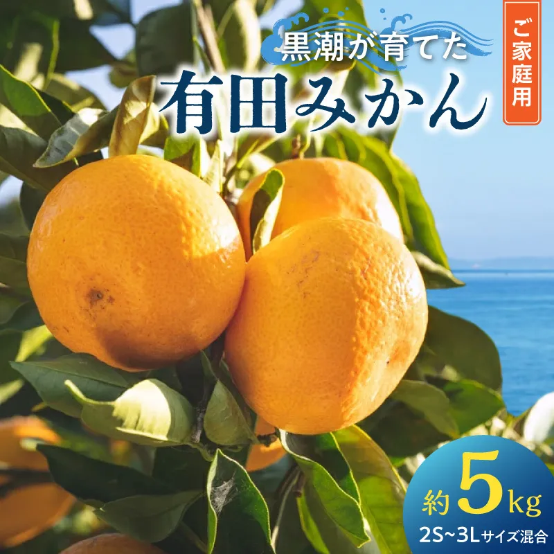 黒潮が育てた 有田みかん 約5kg ご家庭用(2S～3Lサイズ混合）_AE6109