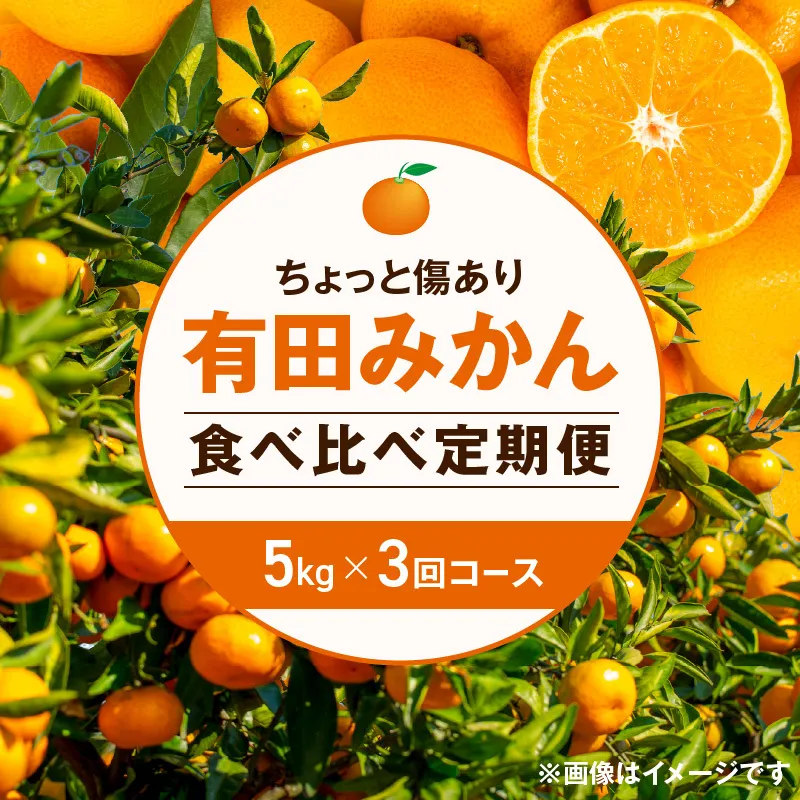 【定期便】(2026年10月発送スタート)【ちょっと傷あり 約5kg×3回コース】有田みかん・食べくらべ3種【南泰園】※着日指定不可_ZF6303n