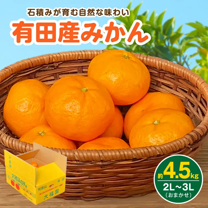 和歌山県有田産 みかん 約4.5kg 3L～2Lサイズ（おまかせ）_BT6015