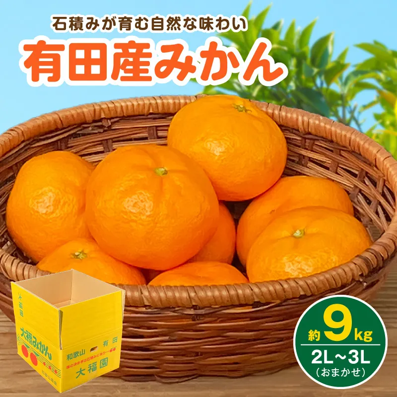 和歌山県有田産 みかん 約9kg 3L～2Lサイズ（おまかせ）_BT6016