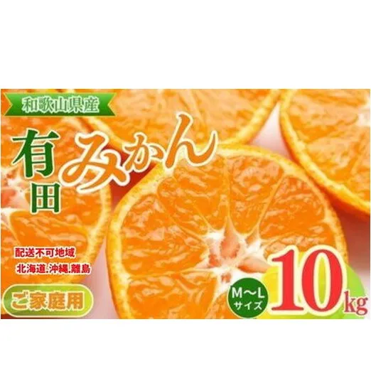 【ご家庭用】和歌山有田みかん約10kg(M、Lサイズ)【美浜町】 ※北海道・沖縄・離島への配送不可 ※2025年11月上旬~2026年1月下旬頃に順次発送予定