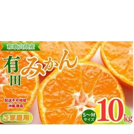 【ご家庭用】和歌山有田みかん約10kg(S、Mサイズ)【美浜町】 ※2025年11月上旬～2026年1月下旬頃に順次発送予定