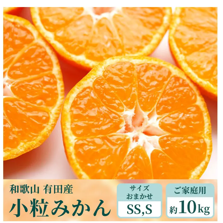 【ご家庭用】和歌山有田みかん約10kg(SS、Sサイズ)【美浜町】〇 ※北海道・沖縄・離島への配送不可 ※2025年11月上旬～2026年1月下旬頃に順次発送予定