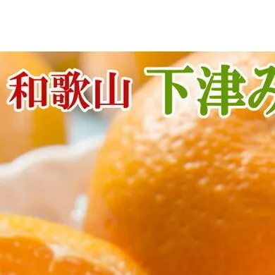 【産直・秀品】和歌山下津みかん約5kg（S～Lサイズおまかせ） ※2025年11月中旬～2026年1月中旬頃に順次発送予定