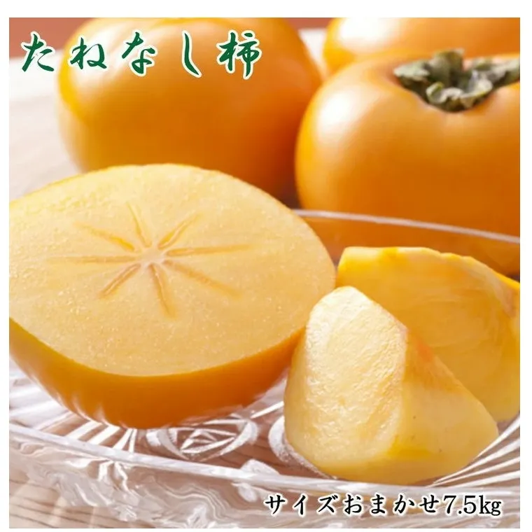 【秋の味覚】和歌山産たねなし柿（L～4Lサイズおまかせ）約7.5kg・秀品〇 ※2025年10月上旬～11月上旬頃に順次発送予定