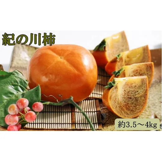 【希少】紀の川柿(種無し)約3.5～4kg・秀品｜柿 カキ フルーツ 果物 和歌山 先行予約 かき たねなし 国産 産地直送 美浜町 ※2025年10月中旬～11月中旬頃に順次発送予定