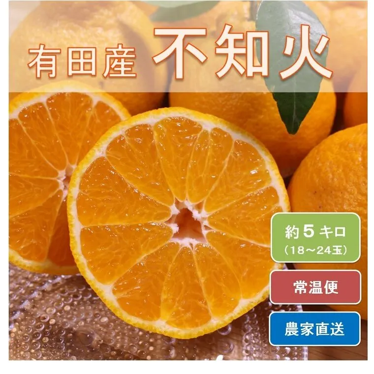 和歌山県有田産 不知火 約5kg（18～24玉）ひとつひとつ手選別で厳選！生産者から直送 ※2026年2月中旬頃より順次発送予定