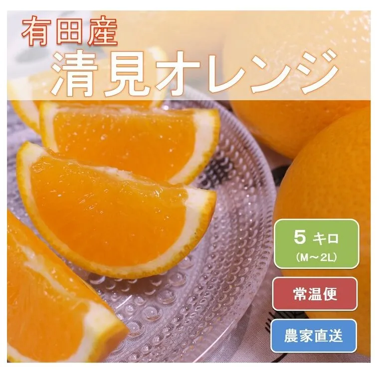 和歌山県有田産 完熟清見オレンジ 5kg（M～2Lサイズおまかせ）ひとつひとつ丁寧に厳選！生産者から直送 ※2026年3月中旬頃より順次発送予定
