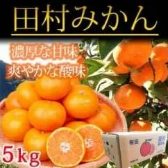 高級ブランド田村みかん ５kg◇ ｜ 蜜柑 柑橘 果物 フルーツ 糖度 甘い 濃厚 コク ジューシー 先行予約 国産 産地直送 人気 美浜町 ※2025年11月下旬〜2026年1月下旬頃に順次発送予定