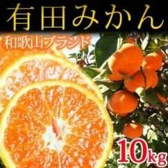 完熟有田みかん10kg
※2025年11月下旬〜2026年1月下旬頃に順次発送予定
