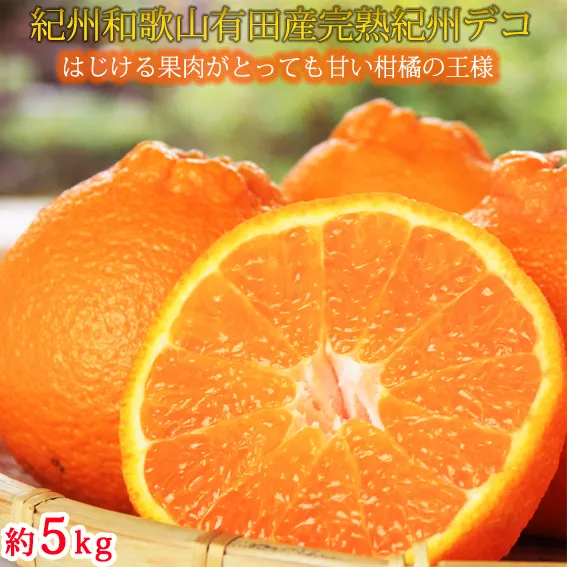 果肉プリプリ♪　完熟紀州デコ(不知火) 約5kg ｜ 柑橘 不知火 デコポン みかん フルーツ 果物 旬 先行予約 でこぽん 国産 産地直送 完熟 一級品  美浜町 ※2026年2月下旬～3月下旬頃に順次発送予定